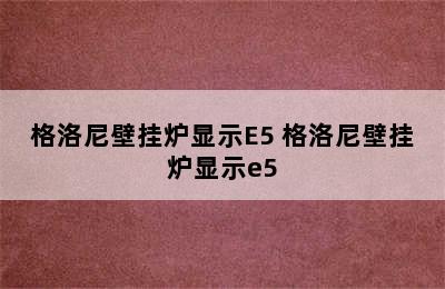 格洛尼壁挂炉显示E5 格洛尼壁挂炉显示e5